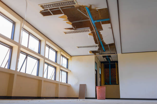 Best Water damage restoration mold remediation  in White Pine, TN