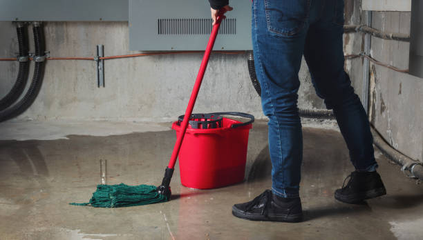 Best Flood damage cleanup  in White Pine, TN