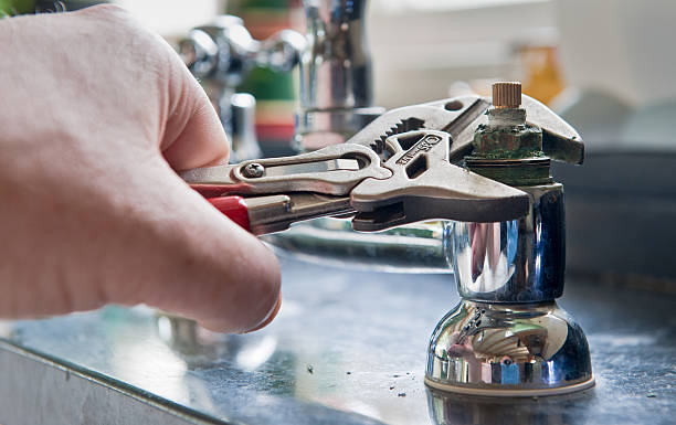Best Water damage cleanup near me  in White Pine, TN
