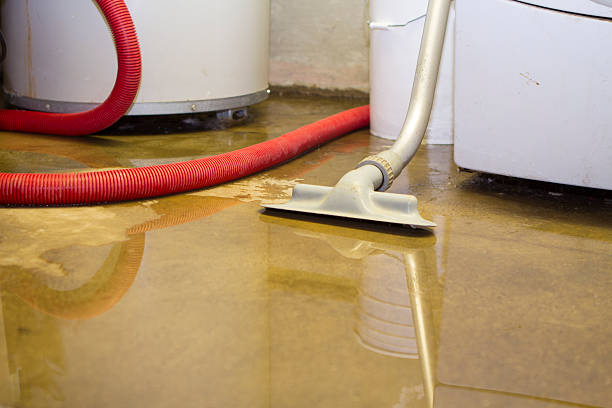 Best 24-hour water damage restoration  in White Pine, TN