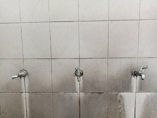 Water damage restoration insurance claims in White Pine, TN