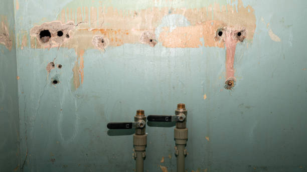 Best Residential water damage restoration  in White Pine, TN