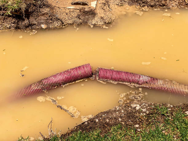  White Pine, TN Water damage restoration Pros