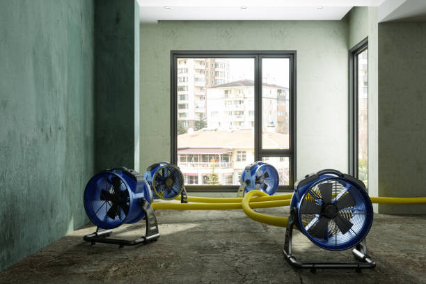 Water damage restoration experts in White Pine, TN